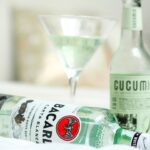 Photo Bottle, Martini
